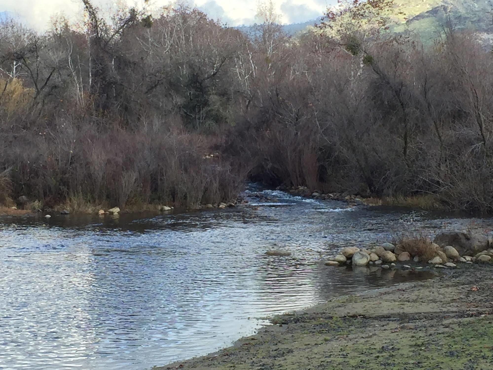 Kaweah Park Resort Three Rivers Buitenkant foto